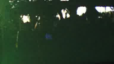Disneyland Los Angeles California USA (1964): Hiding In The Woods