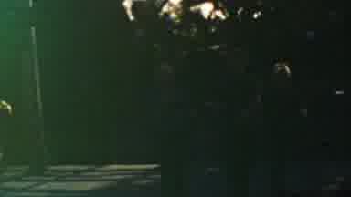 Disneyland Los Angeles California USA (1964): Three Boys Walking Out Of Leafy Area