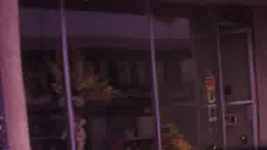 Los Angeles USA (1965): Florist Storefront In City