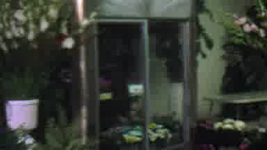 LOS ANGELES USA-1965: Flower Shop Interior With Gladiolus And Fern Arrangements