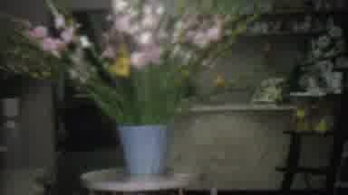 Los Angeles USA (1965): Plant Pots On Table Ladder And Wall Shelves