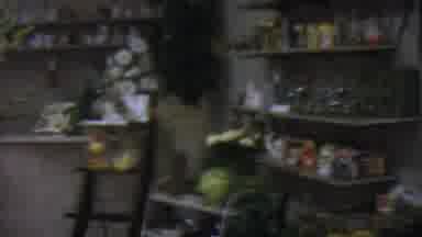 Los Angeles USA (1965): Flower Shop Tour