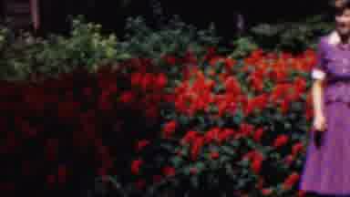 When blooms are everywhere, so is mom's happiness