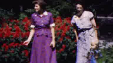 Wisconsin USA (1954): Women And Child Looking At Peacock Birds Roaming Free At A