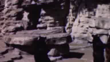 Wisconsin USA-1954: Bear Attraction Fock Wall Formation