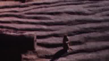 Wisconsin USA-1954: A Monkey Crawling Into A Cave