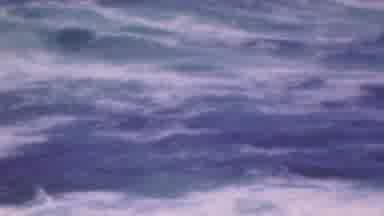 Cleveland Ohio USA (1953): Hanging Out With Friends At The Ocean