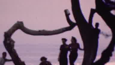 Cleveland Ohio USA (1953): People On Tree By Ocean