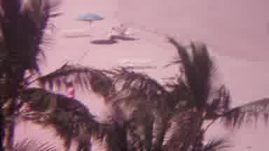 Hawaii USA (1962): Predator Looking For Their Next Victim