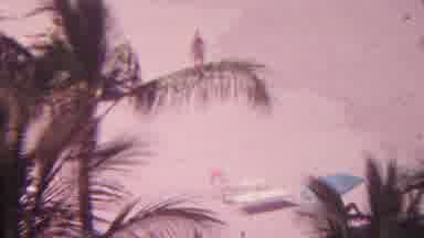 Hawaii USA (1962): People Walking On A Beach With Palm Trees By The Ocean
