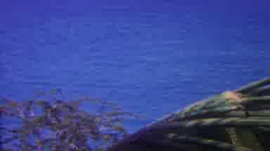 Hawaii USA (1962): Boat Sitting Near Water's Edge