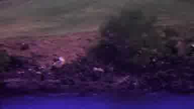 Hawaii USA (1962): Ground And Building