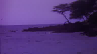 Hawaii USA (1962): Landscape Of A Beach With Small Waves And Trees Nearby The