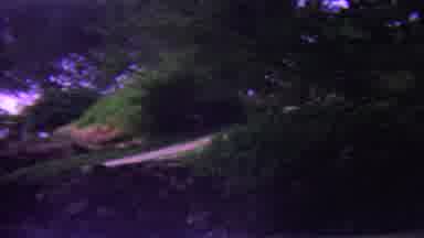 Hawaii USA (1962): Enjoying The Beauty Of Nature And The Blue Sky