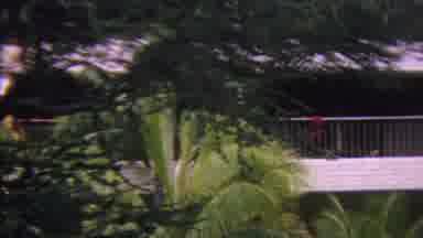 Hawaii USA (1962): Palm Trees Near Building And A Waterfall