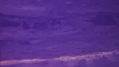 Hawaii USA (1962): Old Footage Of A Plot Of Ground