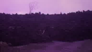 Hawaii USA (1962): Land Possible Problems Checking Reviewing Maybe After Fire Hazy