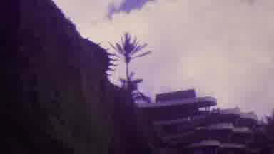 Hawaii USA (1962): Lanscape Viewing Trees Hillside
