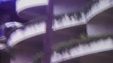 Hawaii USA (1962): Palm Tree With White Building With Balcony's In The Background