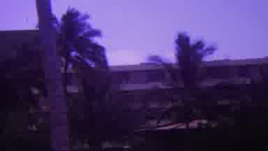 Hawaii USA (1962): Wind Blows In The Palm Trees That Surrounds Hotel Buildings