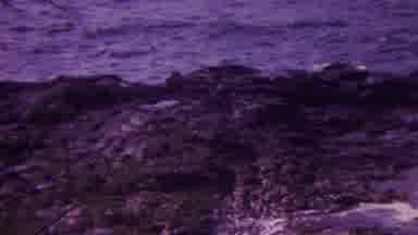 Hawaii USA (1962): Seaside And Mountainside