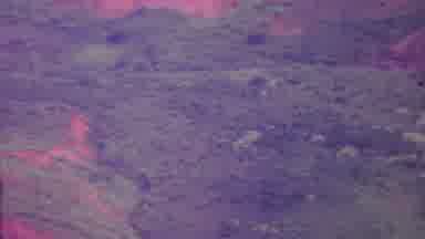 Hawaii USA (1962): A View Of The Mountains