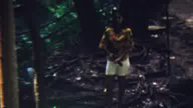 Hawaii USA (1962): Latin Lady Seranading With Stringed Instruments Off Path