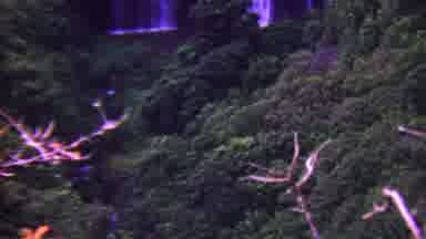 Hawaii USA (1962): Plants And A Waterfall