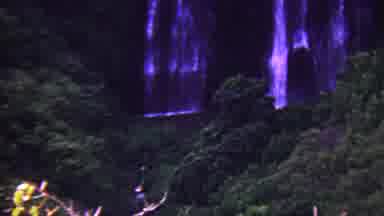 Hawaii USA (1962): Waterfall In Forest Area