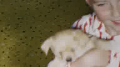 Seaside New Jersey USA (1949): Boy In Red And White Striped Pajamas Cuddles Puppy