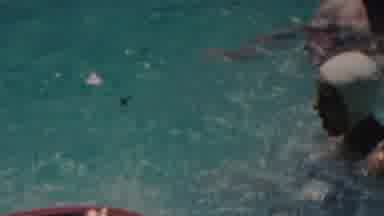 SEASIDE NEW JERSEY USA-1949: People Swimming In The Pool