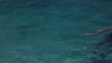 When three's a crowd, it's probably a pool party