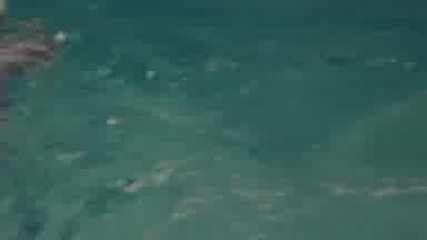 Seaside New Jersey USA (1949): Woman Wading In The Water At The Lake