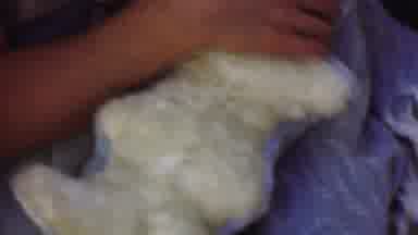 San Diego California USA (1955): Infant Is Introduced To A Easter Bunny