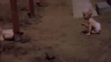 Phoenix Arizona USA (1956): Young Child Playing Alone Outdoors