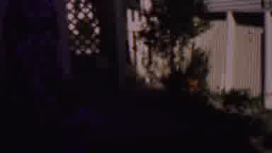 Phoenix Arizona USA (1956): Old Style Film Footage Of Child Walking In Back Yard