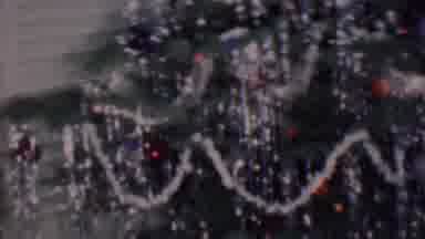 Phoenix Arizona USA (1956): Christmas Tree With Decorations By Window