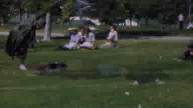 Dallas Texas USA (1956): Family Day At The Park
