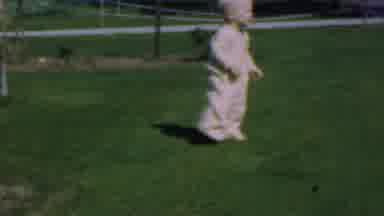 Dallas Texas USA (1956): Toddler Toddling On Lawn Pajamas