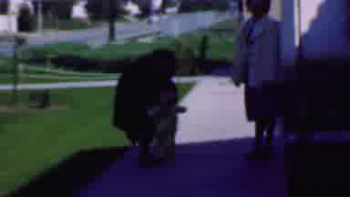 Dallas Texas USA (1956): People Child Family Green Grass Playing Fun Happy