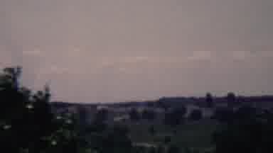 Covington Kentucky USA (1961): Beautiful View Of The Forest