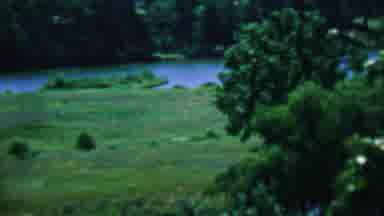 Covington Kentucky USA (1961): A Pastoral Green Park Overlooking A Lake
