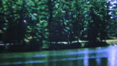 Covington Kentucky USA (1961): Scenic View Of A Lake In The Summer