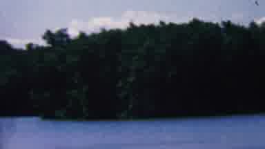 Covington Kentucky USA (1961): The Shoreline Of A Lake Approaching A Forrest
