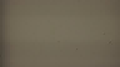 Hatfield Pennsylvania USA-1956: White Noise Film Static