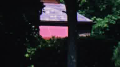 Hatfield Pennsylvania USA (1956): Shaky Footage Of House Yard And Tree