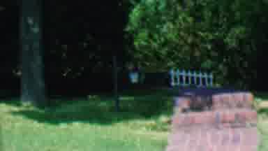 Hatfield Pennsylvania USA (1956): A Backyard Path Leading Up To A House