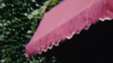 Hatfield Pennsylvania USA (1956): Backyard Scene With Person Tanning Facedown On