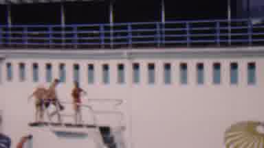 Hatfield Pennsylvania USA (1956): Summer Fun In The Pool!