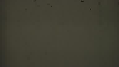 Terra Haute Indiana USA-1963: Camera Static And Dust